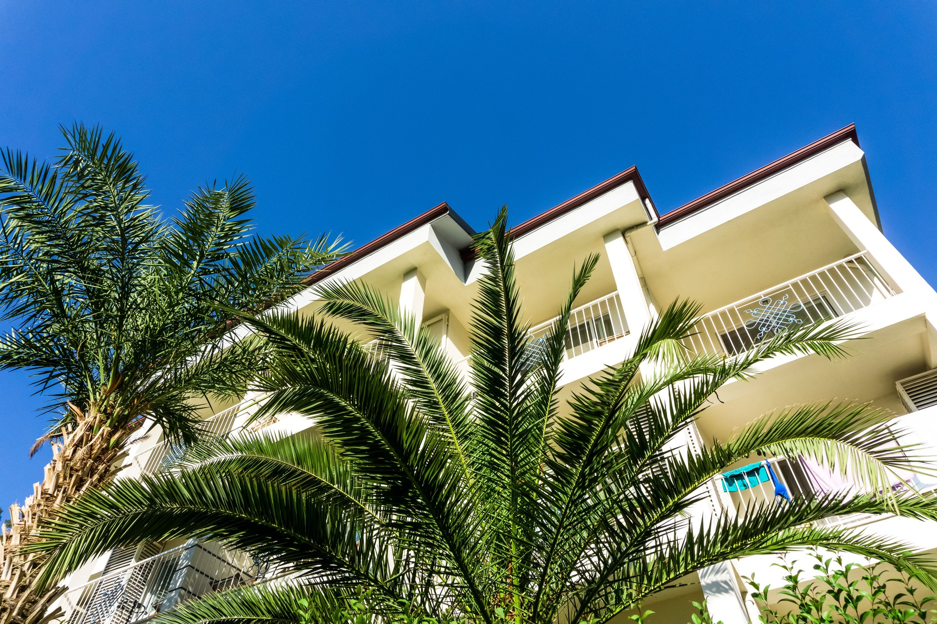 Luxury tropical resort or private villa with  palms. Relaxation and vacation concept.